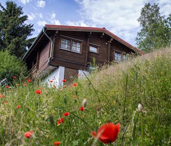 resim_2023-10-02_140742639